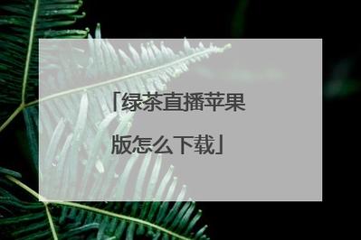 外汇交易